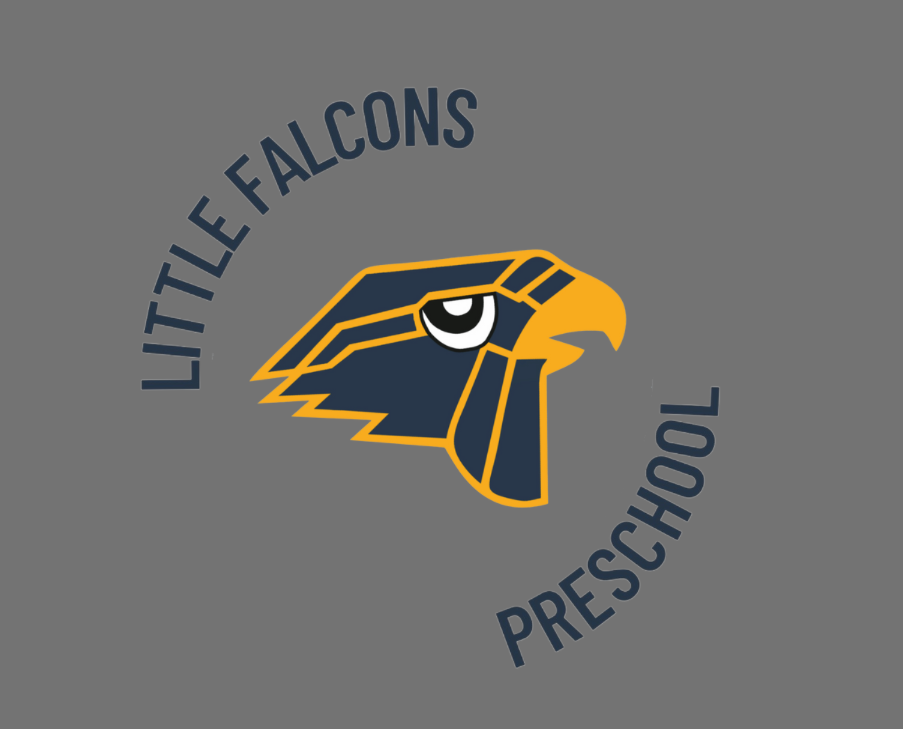 Little Falcons Preschool T-shirt